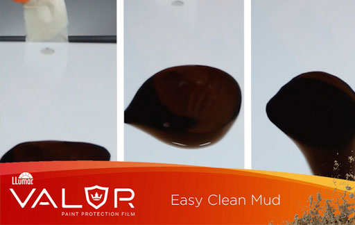 ppf-modder-test ppf modder test